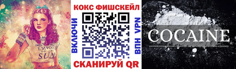 Cocaine FishScale  где найти наркотики  Кириши 