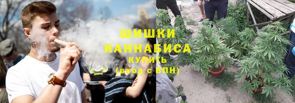 a pvp Шадринск