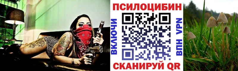 даркнет сайт  Кириши  Галлюциногенные грибы Psilocybine cubensis 