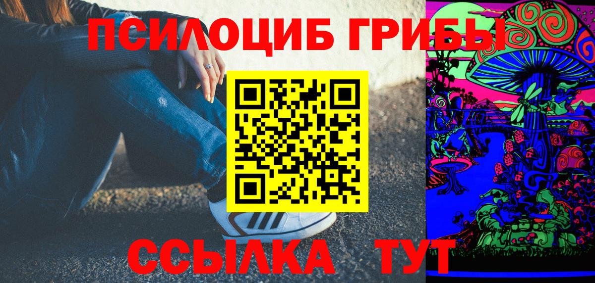 Галлюциногенные грибы мицелий  Псилоцибиновые грибы Cubensis  Кириши  Вход с VPN 